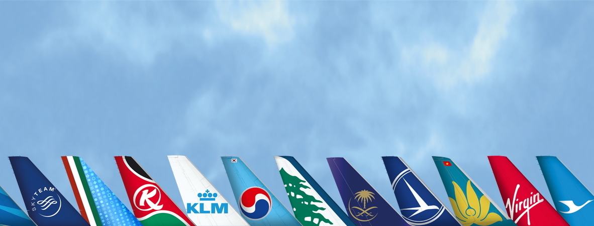 airplane tails that are members of SkyTeam alliance.