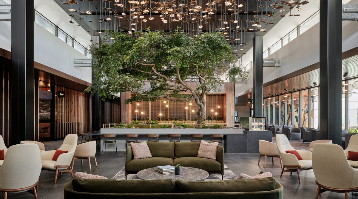 central area with large tree and seating.
