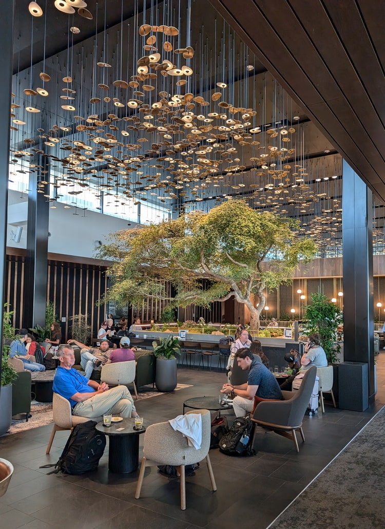 central seating area with large tree and plants.