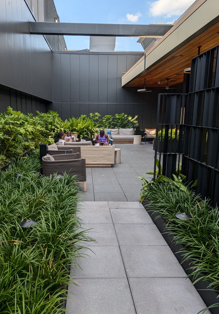 ouside terrace with walkway and plants.