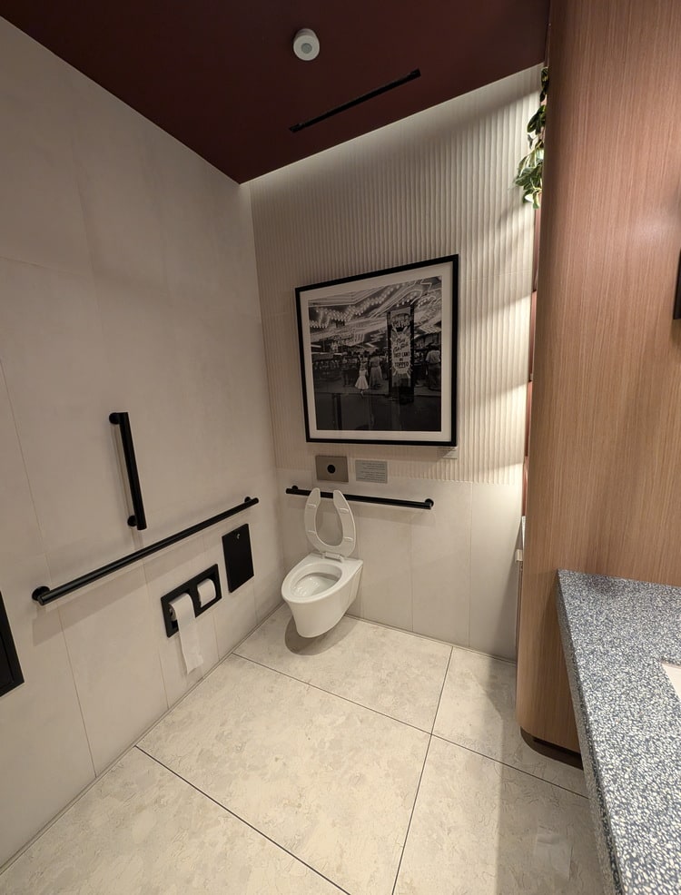 toilet, showing grab bars and art on the walls.